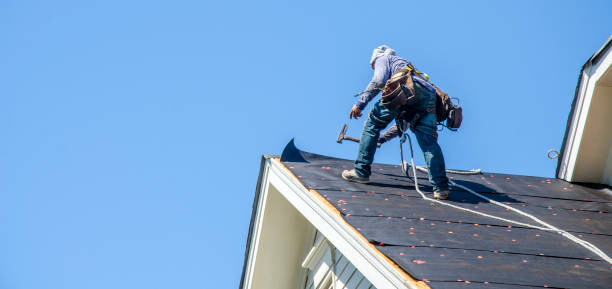 Best Local Roofing Companies  in Reidland, KY